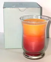 PartyLite G05304 Apricot & Fig 15.8 oz Bestburn Slim Hurricane Jar Candle