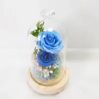 在飛比找momo購物網優惠-【The Flower 嬪嬪花藝坊】鑽石玻璃盅 藍玫瑰永生花