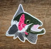 STEELHEAD TROUT Sticker Decal fly fishing Kype 4" x 4 1/2" glossy weather proof