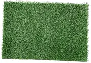 Gatuida Artificial Grass Door Mat Large Entrance Mat No Maintenance Welcome Rug