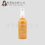 立坽『免沖洗護髮』肯夢公司貨 AVEDA 艷陽活力曬前髮霧100ML HH09 HH06