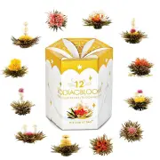 my cup of tea 12 ZODIAC BLOOMING TEA Fixed Size