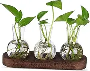 JOINPAYA 1 Set Hydroponic Glass Vase Clear Desktop Propagation Jars for Plants Stable Base Low Maintenance Indoor Decor for Home Office and Centerpieces