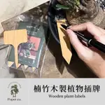 植感選物｜POPER 楠竹木製植物插牌·植人獨家設計 可奇異筆書寫 木片厚2MM 耐澆水 T型 名牌 DIY材料包 名片