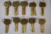 SARGENT STYLE 6 PIN LA PRE-CUT SETS QTY 10