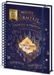 Harry Potter A4 Wiro Notebook and Diary