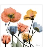 Empire Art Direct Flowers and Ferns by Albert Koetsier Wall Art