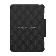 iPad Pro 11-inch (M4) Impact Folio Case Pyramid iPad Case