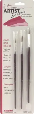 6 Pack Camel Hair Artist Brush Set-3/Pkg A383