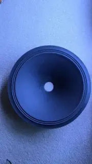 Jensen M-18" speaker cone