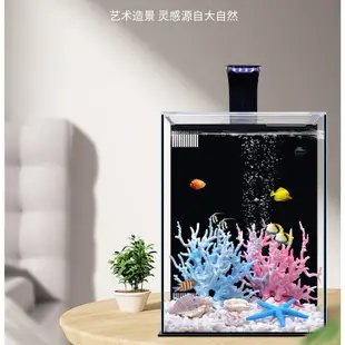 免換水生態魚缸 含過濾及造景 海景造景魚缸套餐 海水魚缸 金魚缸 水草缸