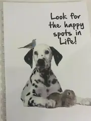 2025-2026 year diary'Look for the happy spots in life' dalmation A5 WEEK TO VIEW