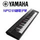 YAMAHA 61鍵電子琴 NP12黑色款 公司貨保固