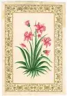 Handmade Flora Flower Painting Of Indian Botanical Art On Paper 9x12.5 inches