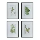 A&B Home Botanical Fern Wall Art - Black, White