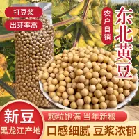 在飛比找淘寶網優惠-1kg真空東北農家黃豆打豆漿發豆芽磨黃豆粉面五穀雜糧黑龍江自