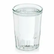 Display Faux Food Prop Vodka Double Shot