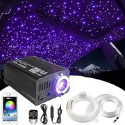 Starlight Headliner Kit - 500 Pieces Sparkle Lights (0.03 Inch x 9.8 Feet / 0.75 mm x 3 m) with 16 W Music and Voice Activation for Car and RGBW Starlights for Bedroom and Theatre