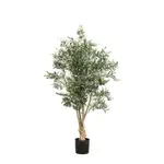 [OneWorld Collection] Olive Tree 1.5m