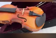 PHOENIX Violin 4/4 Full Size Violin Fiddle Orchestra Students