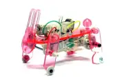 TAMIYA ROBO Model Craft Mechanical Rabbit Robot (Finished Model) Hobby 89901