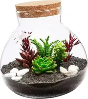 CIMAXIC Glass Bottle with Cork Stopper Decorative Landscape Jar for Micro Landscapes for Home Decor Living Bedroom Office Cafe