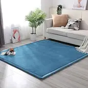 Living Room Home Decor Coral Fleece Area Rug,Modern Nursery Washable Kids Bedroom Rug,Girls Boys Soft Non-Slip Soft Mat,2cm Thick Kids Carpet -D- 60 * 120cm