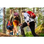 Save 20.00%! Forest Hike with Guide & Husky + Cabin Snack Break