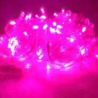 在飛比找蝦皮購物優惠-浪漫粉紅色，led聖誕燈串 10米100燈送跳機