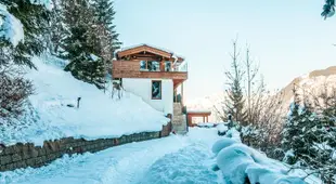 Chalet Max Panorama by we rent