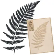 Reusable PLASTIC Wall STENCIL Template // 17.7"x25.6" or 25.6"x37.4 // FERN LEAF