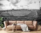 3D Baseball Stadium Wallpaper Wall Murals Removable Wallpaper 61