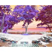 The Boathouse Phuket - SHA Plus