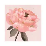 Hammond Gower Pink Flower Simple Greeting Notecard - 10x10cm