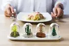 QUALY - FOUR SEASONS-SHAKER (Seasoning Shaker Set)