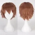 2024 Unisex Boy Mens Anime Short Wig Straight Hair Cosplay Full Wigs Fancy Party