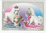 Postcard Glitter Tausendschoen Poodles Crowns Basket Flowers Postcrossing