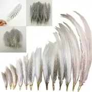 30-80CM/12-32inch White Silver Pheasant Tail Feathers Crafts DIY Plumes