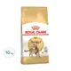 ROYAL CANIN 法國皇家 皇家FBN 豹成貓乾飼料 BG40