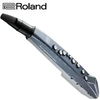 在飛比找PChome24h購物優惠-ROLAND Aerophone mini AE-01電子吹