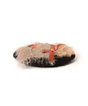(ASK availability First) BEAMS Barairo no Boushi NECO Beret New