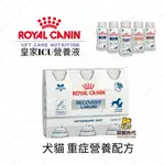 ROYAL 皇家-ICU營養液 犬貓重症營養補給配方3瓶/組 重症 虛弱 術後 營養補充