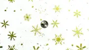 MODA FABRICS 332MG "OMBRE FLURRIES GOLD METALLIC SNOW FLAKES ON WHITE BTY