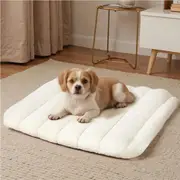 Pawz Pet Bed Dog Orthopedic Sofa Egg Foam Mattress Mat Washable Waterproof S