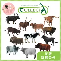 在飛比找蝦皮購物優惠-【台灣現貨】collectA動物模型 乳牛 安格斯牛 婆羅門