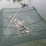Portable Foldable Automatic Fish Net Net Folded Fish Mesh Baits Trap Cast Crab