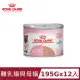 【法國皇家】離乳貓與母貓專用濕糧BC34W 195Gx12入