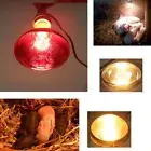 Thicken Heat Lamp RED Heat Lamp Farming Lampshade Heating Lampshade