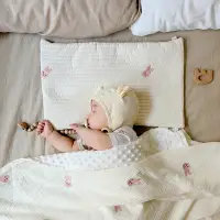 在飛比找松果購物優惠-兒童枕頭1歲以上初生寶寶低枕芯純棉嬰兒薄枕3個月023歲可拆