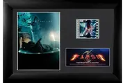 FilmCells: Presentation Frame - The Flash Movie (S4)